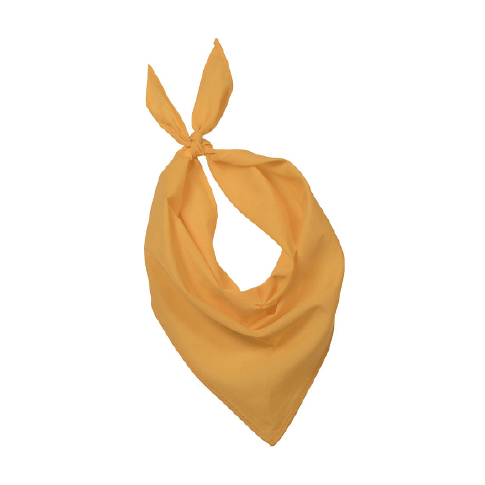 Bandana / foulard de couleur pour événements
