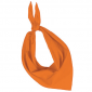 Farbiges Bandana/Halstuch für Veranstaltungen