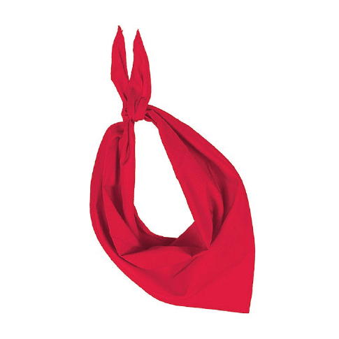 Farbiges Bandana/Halstuch für Veranstaltungen