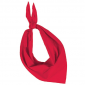 Farbiges Bandana/Halstuch für Veranstaltungen