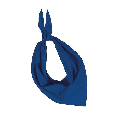 Farbiges Bandana/Halstuch für Veranstaltungen