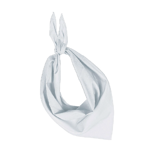 Farbiges Bandana/Halstuch für Veranstaltungen