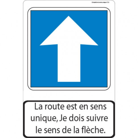 Panneau pédagogique Sens unique