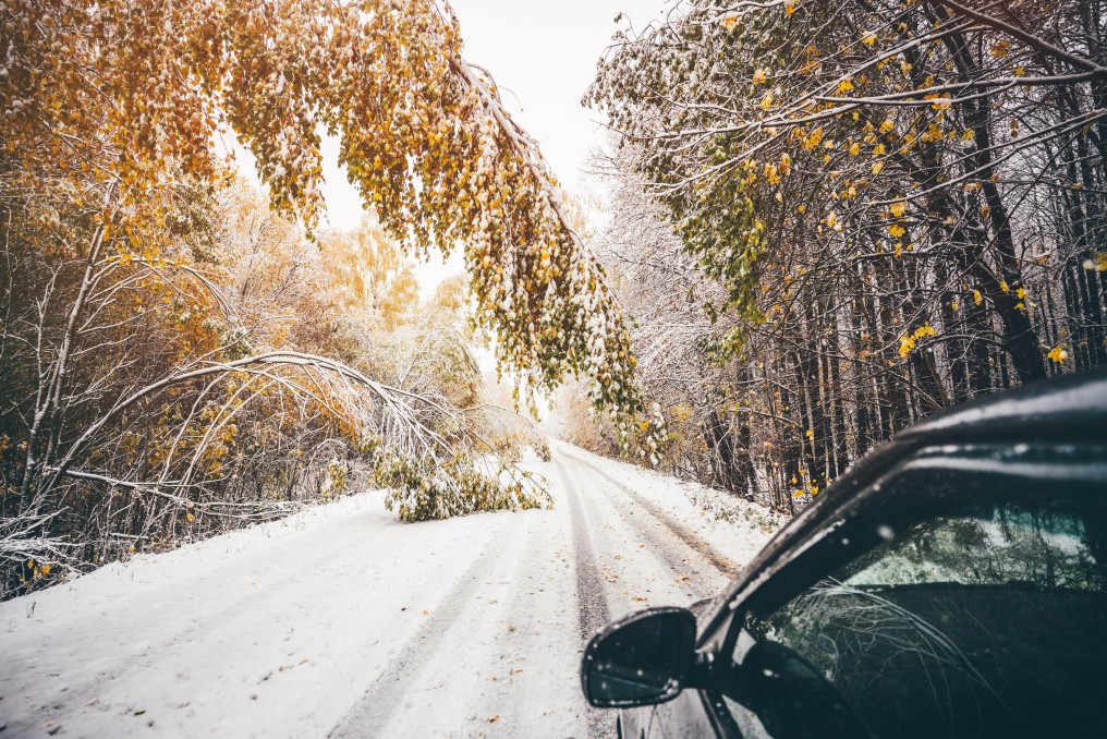 Comment choisir ses pneus hiver ?