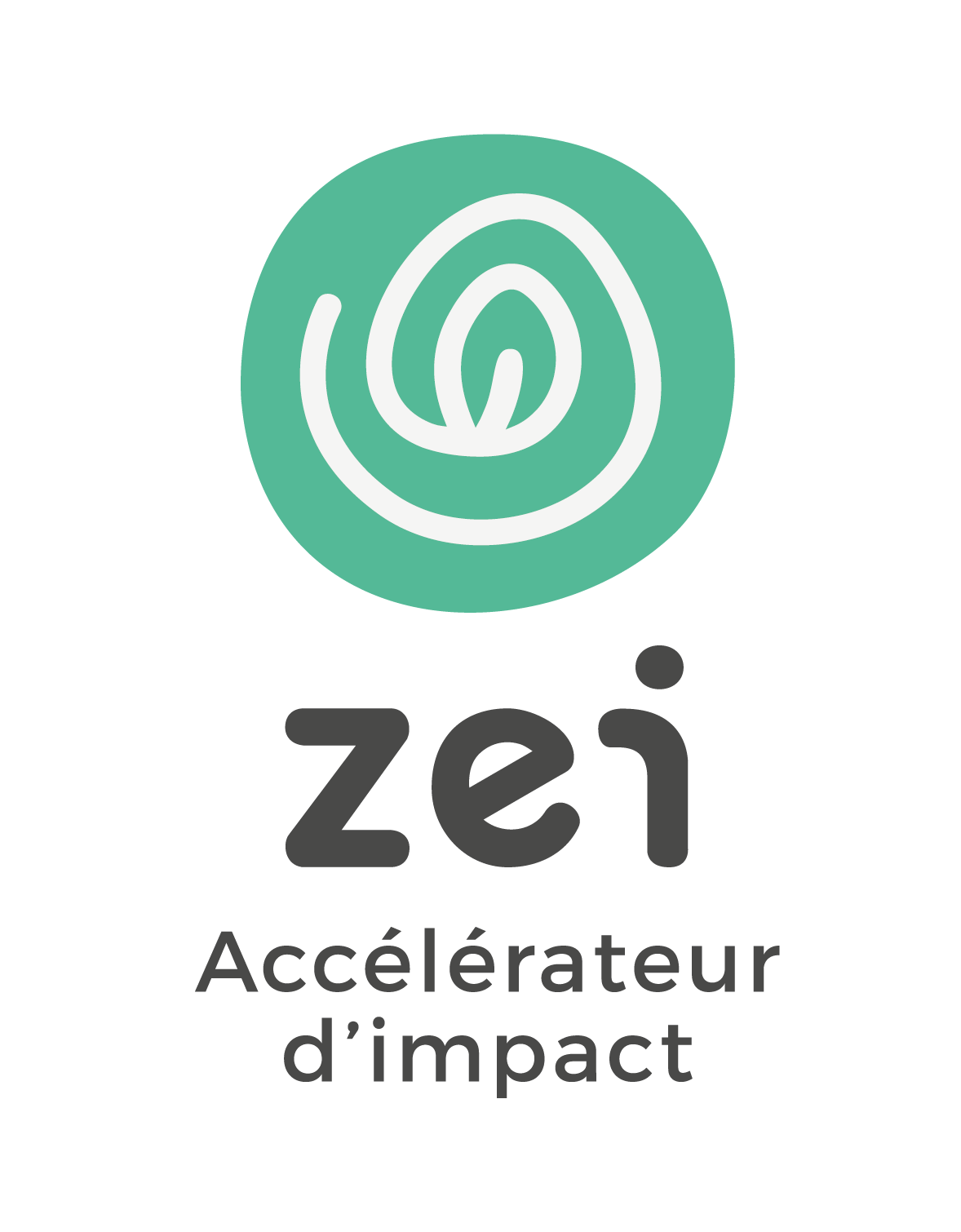 logo ZEI